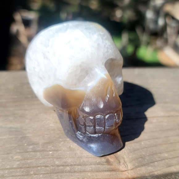 INCREDIBLE Smokey Quartz handcarved drutzy Agate Skull sz medium - Picture 3 of 10